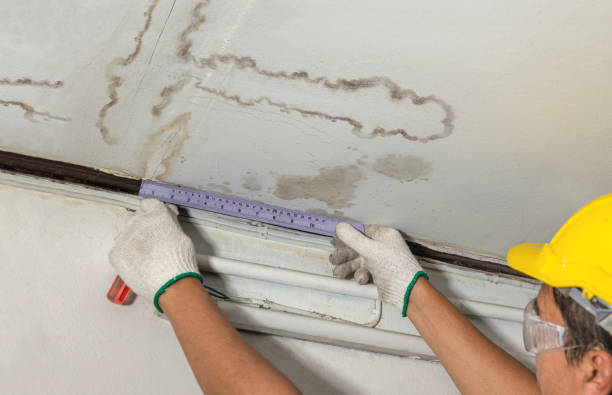 Reliable Sewage Cleanup contractor in Florissant, CO by Water Damage Irwin